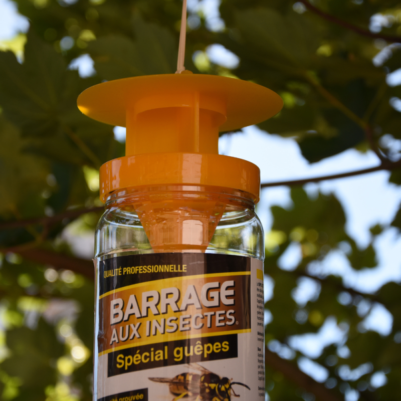 Barrage aux insectes guêpe réutilisable efficacité prouvée attractif